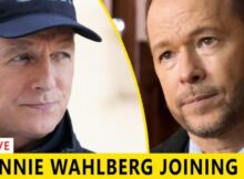 Blue Bloods star Donnie Wahlberg Has Landed A New Project Away From CBS Drama – Joining NCIS Boss