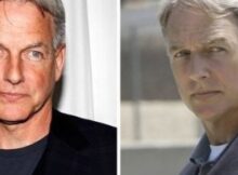 Is Mark Harmon Coming Back to NCIS? What He’s Said About Playing Gibbs Again…