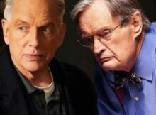 One Fan-Favorite NCIS Character Could Make a Comeback in NCIS