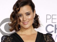 Cote De Pablo Rumors That Turned Out To Be TRUE