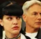 NCIS Had To Separate Scenes Between Mark Harmon and Pauley Perrette After Their Feud