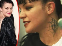 NCIS star Pauley Perrette’s Tattoos: Are They Real or Just For NCIS?