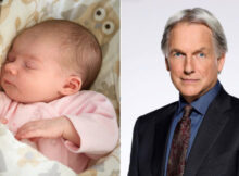 “NCIS Icon Mark Harmon: From Agent to Grandpa”