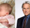 “NCIS Icon Mark Harmon: From Agent to Grandpa”