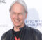 Mark Harmon Writes a book based on the real-life NCIS Agency; set to be released in November