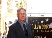 Mark Harmon’s Endorsement Could Be A Politician’s Dream