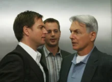 How NCIS Stars REALLY Feel About Mark Harmon..